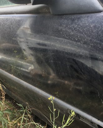 Renault laguna 1 çıkma hatasız sağ ön ve arka kapı